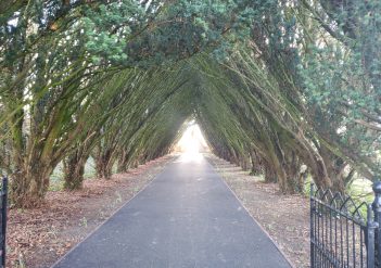 Maynooth Univerity Cemetery entrance path