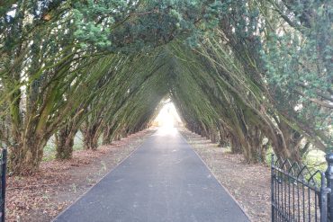 Maynooth Univerity Cemetery entrance path