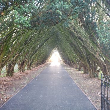 Maynooth Univerity Cemetery entrance path