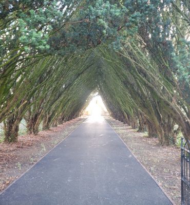 Maynooth Univerity Cemetery entrance path