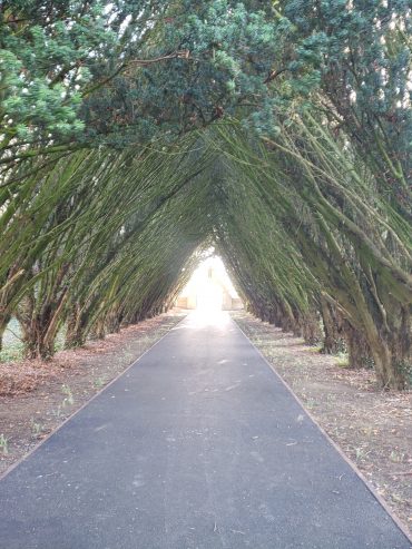 Maynooth Univerity Cemetery entrance path