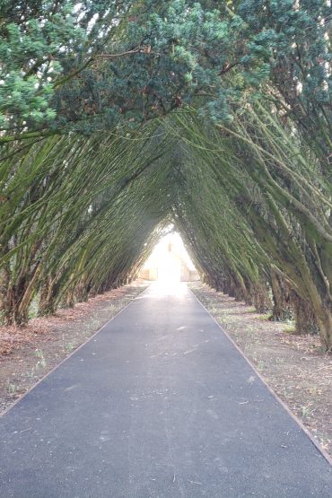 Maynooth Univerity Cemetery entrance path