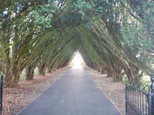 Maynooth Univerity Cemetery entrance path