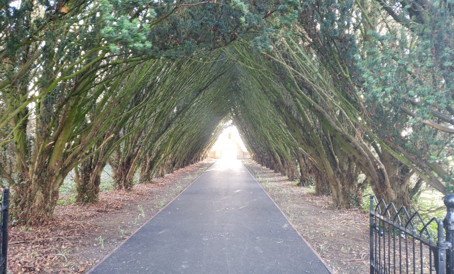 Maynooth Univerity Cemetery entrance path