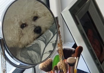 Alfie by Lorraine_International Student blog Maynooth University