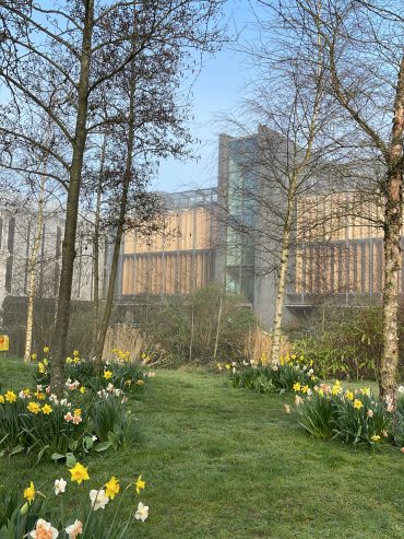 View to old library at Maynooth University by DALAL ALMUHAIDEB