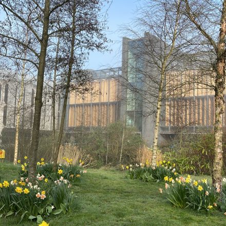View to old library at Maynooth University by DALAL ALMUHAIDEB